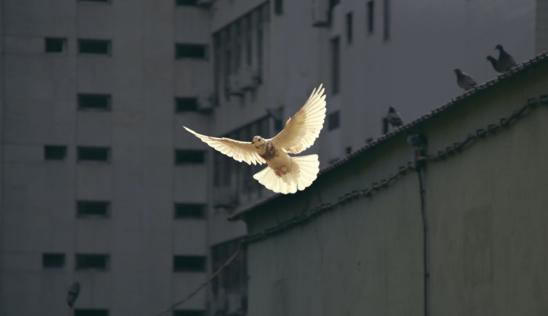 az-elet-igeje-2026-majus