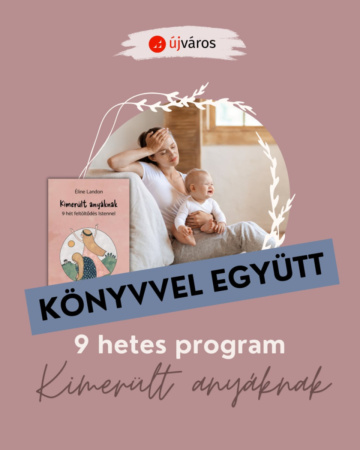 kimerult-anyaknak-online-csoport-konyv