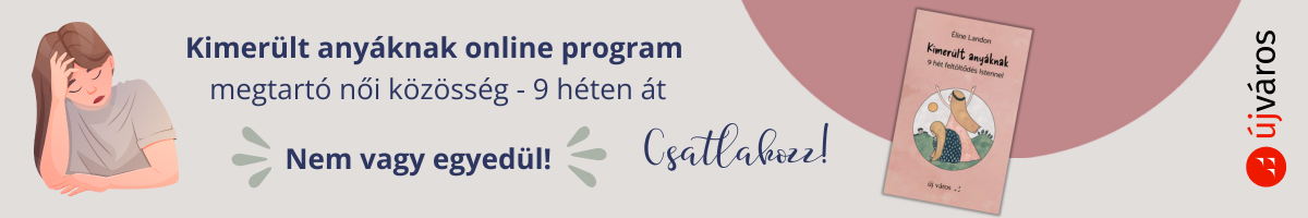 banner-kimerult-anyak-online-program