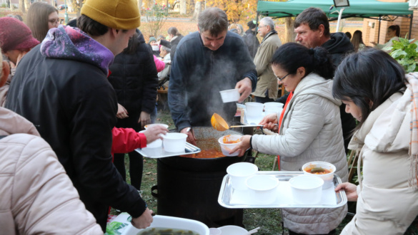 testveriseg-delutanja-2025