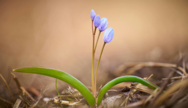 az-elegendo-kulturaja-het-nap-het-gondolat