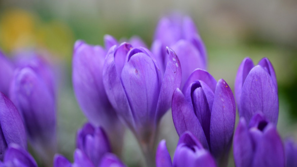 nagybojti-meghivas-legyunk-kozossegben